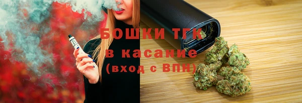 гашик Бородино