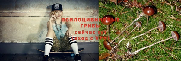 стафф Медвежьегорск