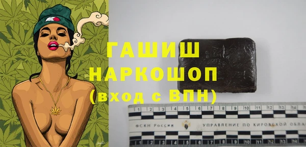 гашик Бородино