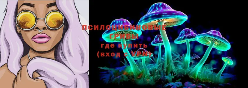 Галлюциногенные грибы Cubensis  Вичуга 