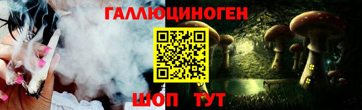 Галлюциногенные грибы Psilocybine cubensis  Вход с VPN  Вичуга 